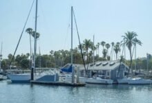 carolina sandoval s financial status