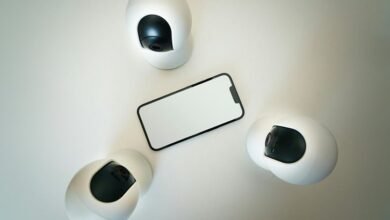 caller identity fraud monitoring