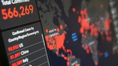 risky digits monitoring report